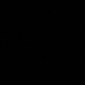 Meet your Posher, Desree